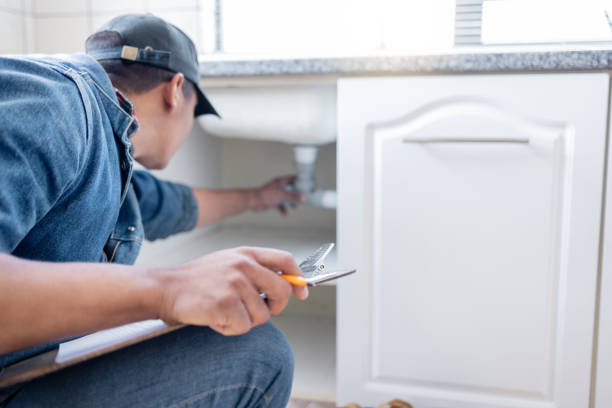 Best Local Plumber Services  in Monroe, MI