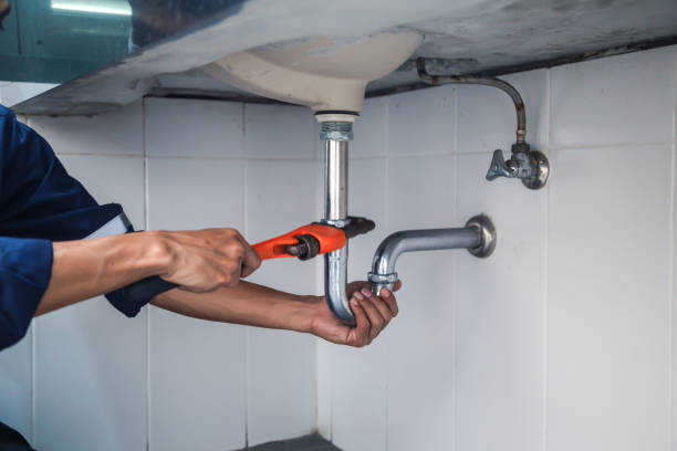 Best Plumbing Services Near Me  in Monroe, MI