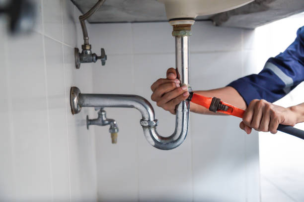 Best Plumbing Services Near Me  in Monroe, MI