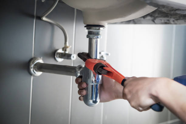 Best Same-Day Plumbing Service  in Monroe, MI