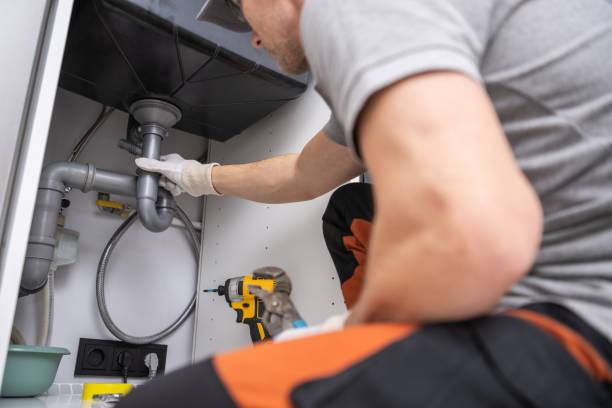 Best Emergency Plumber  in Monroe, MI