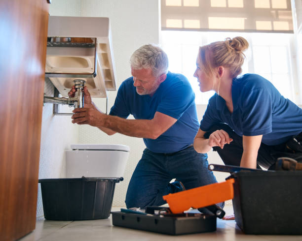 Best Gas Line Repair  in Monroe, MI